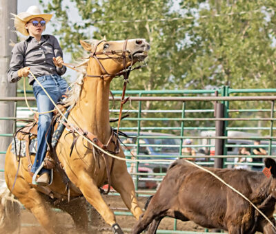 action shot of woman on horse roping cattle