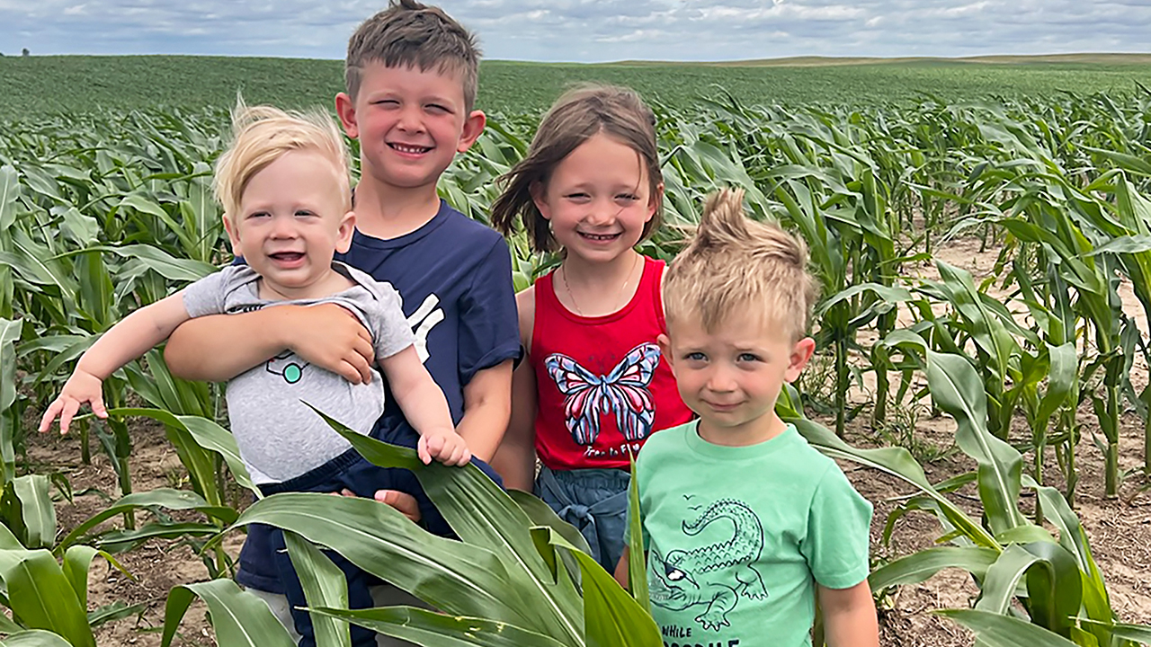 four young children standing in a corn field