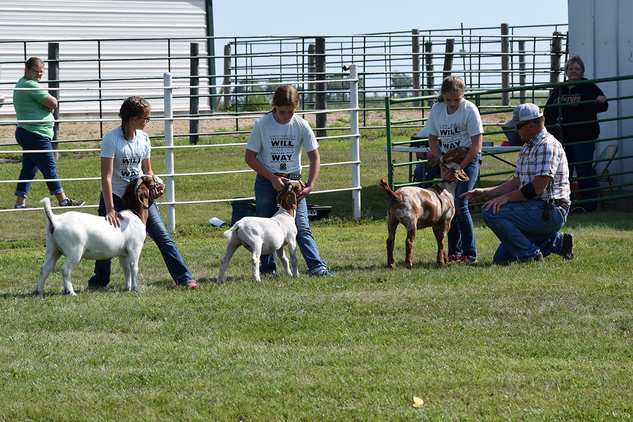 4-H Acheivement Days 2020