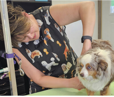 lady grooming dog