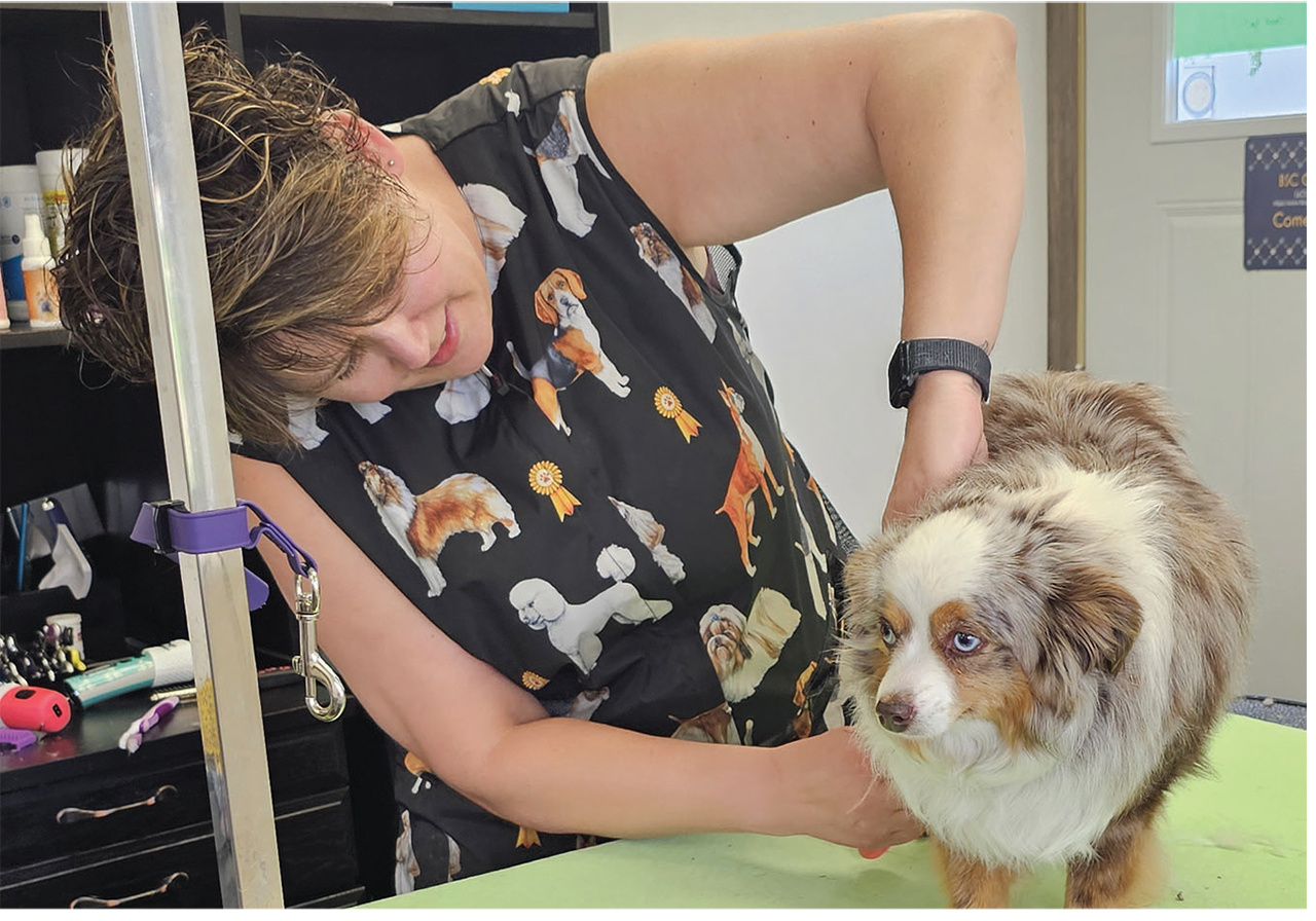 lady grooming dog