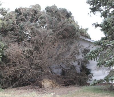 Damage from straight line winds