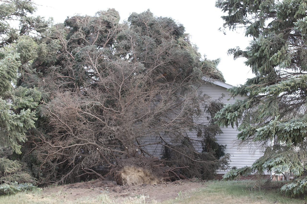 Damage from straight line winds