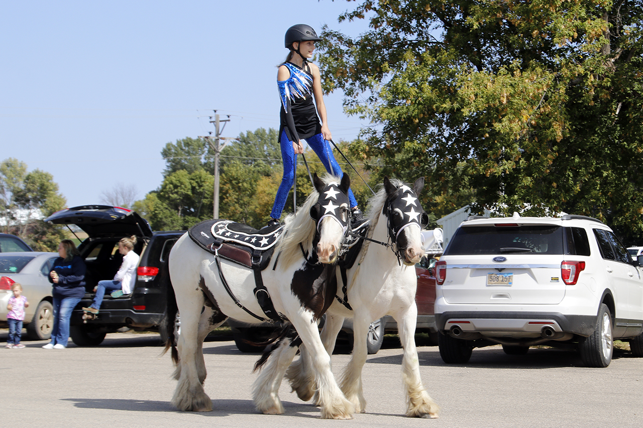 roman riding