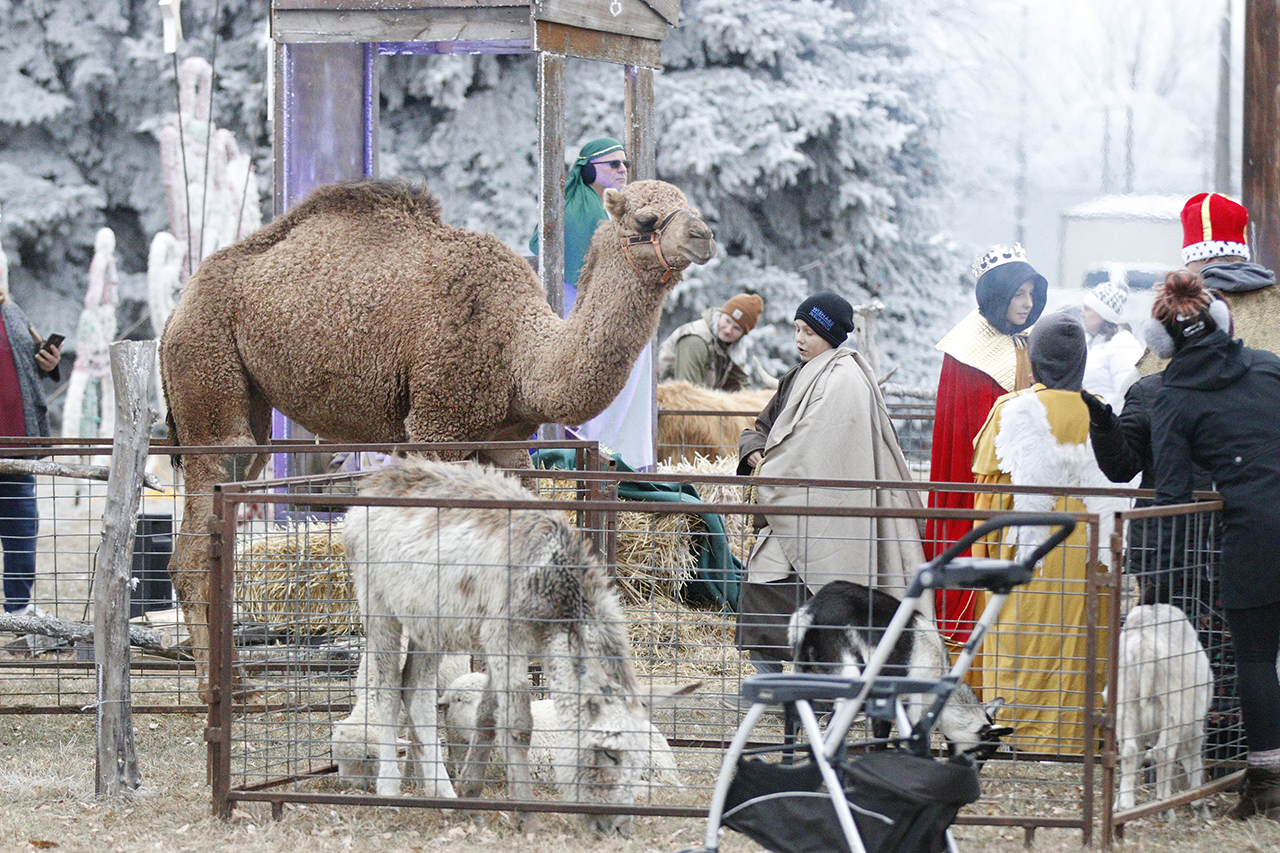 Live Nativity