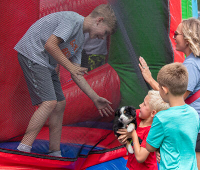 child in bounce house looking at brown and white puppy held by another child outside the toy