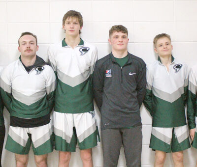 wrestling state qualifiers